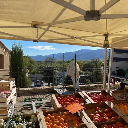 La Bastide Du Cedre - 20 Minutes From Collioure Vila Tresserre