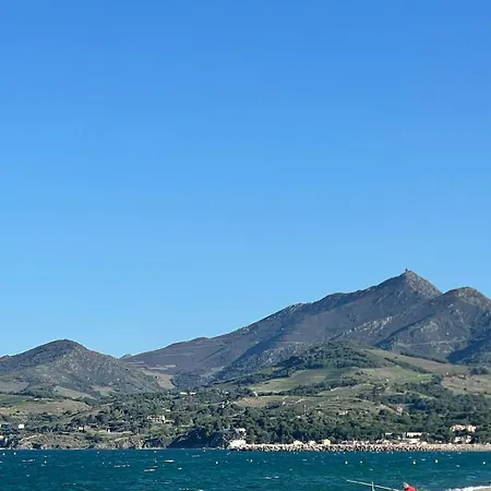 La Bastide Du Cedre - 20 Minutes From Collioure Villa Tresserre