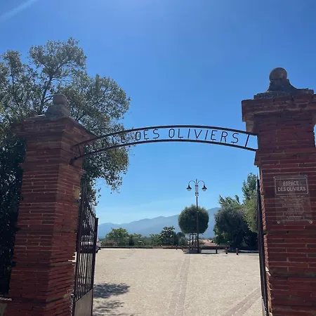 La Bastide Du Cedre - 20 Minutes From Collioure Villa