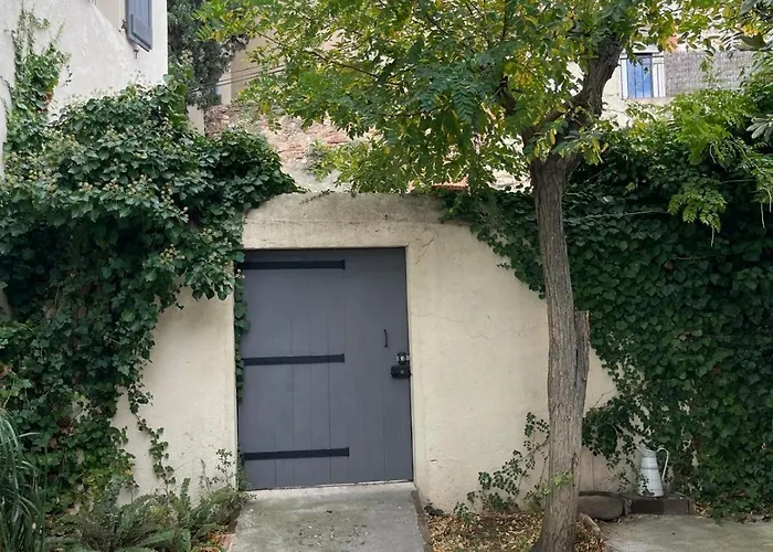 La Bastide Du Cedre - 20 Minutes From Collioure